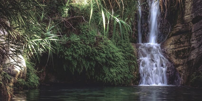 Serene waterfall cascading into a tranquil pond, surrounded by lush greenery and vibrant nature
