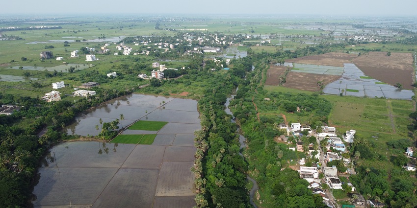 Tammileru river streaming towards Kolleru, surrounded by verdant fields and lush shrubs