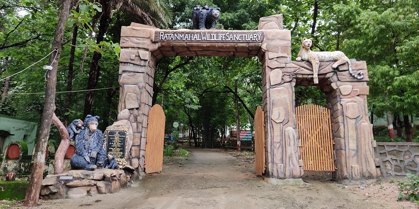 Entrance gates carved with wood to one of the famous wildlife sanctuaries in India.