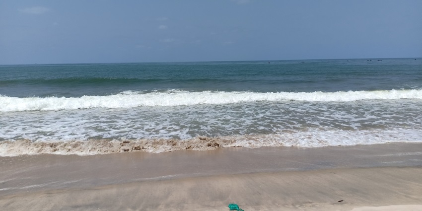 Tannirbhavi Beach, has tall swaying palm trees along the sandy beach and mild waves.