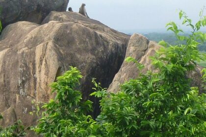 Climb to the attraction to cherish a picturesque view of the lush landscapes in Jharkhand.