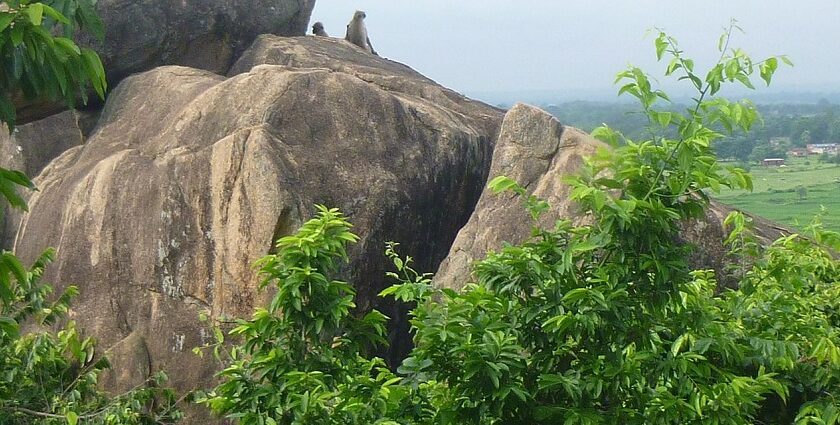 Climb to the attraction to cherish a picturesque view of the lush landscapes in Jharkhand.