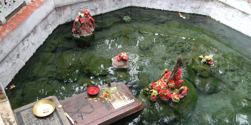 Religious idols adorned with flowers in a natural hot spring in Tapta Pani, Odisha
