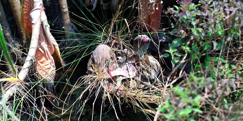 A Shivalinga kept amid bushes at Tarabalo Hot Spring in Nayagarh District, famous in hot springs in Odisha.
