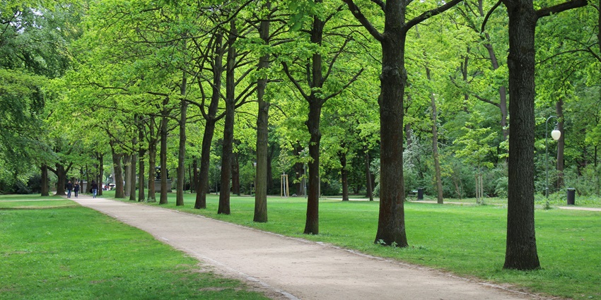 Hinjewadi tourist places feature Tathawade Park, a family-friendly space with greenery.