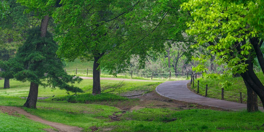 Tau Devi Lal Biodiversity Park is a perfect place for relaxation away from city buzz.