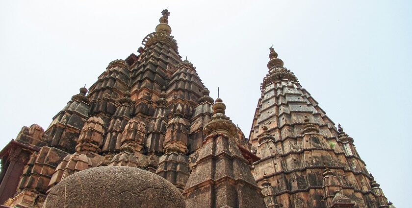 A glimpse of the famous spiritual tourist attraction in the region of Sonepur, Bihar.