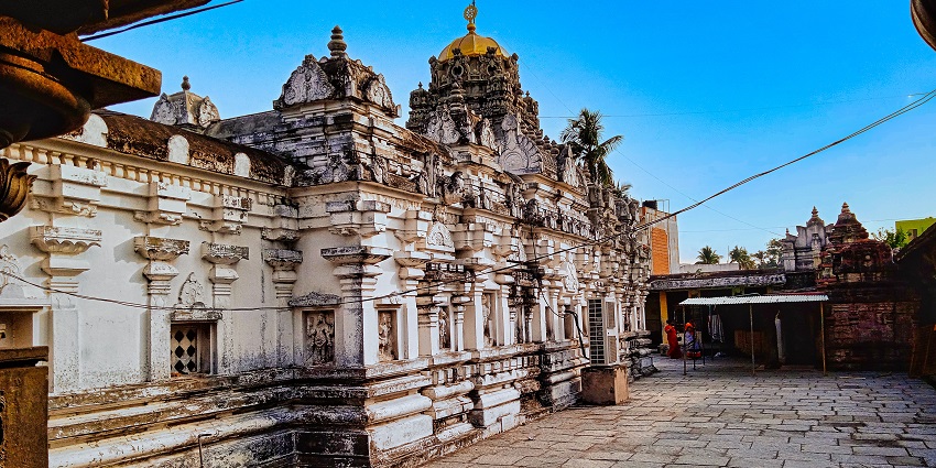 Detailed view of the Kurmanatha Swamy Temple in Srikurmam, highlighting intricate stone carvings.