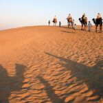 A beautiful view of a desert in Rajasthan, with multiple camels roaming around.