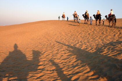 A beautiful view of a desert in Rajasthan, with multiple camels roaming around.