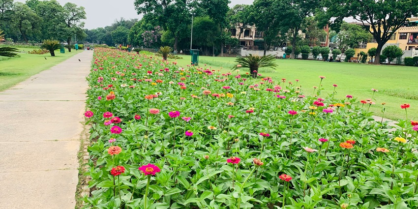 A scenic view of Terraced Garden, one of the famous places to visit in Zirakpur.