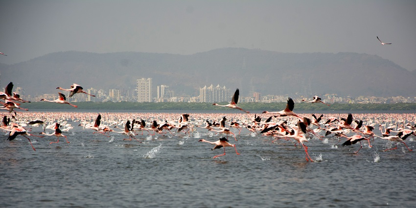 Picturesque estuary ideal for birdwatching, walks, picnics, and boating.