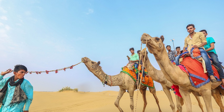 Thar Desert Camping in Jodhpur offers budget-friendly camping, tents, and cultural performances.