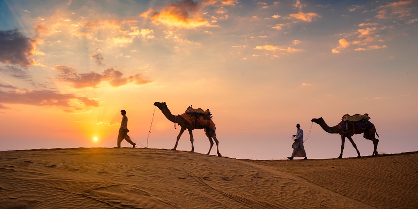 Image of sunset and cameleers with camels -explore Thar Desert’s dunes, camel rides, safaris - Pushkar Desert Safari