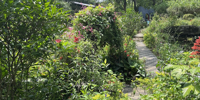A mesmerising lush green view of Thattekad Bird Sanctuary with flowers during the day.