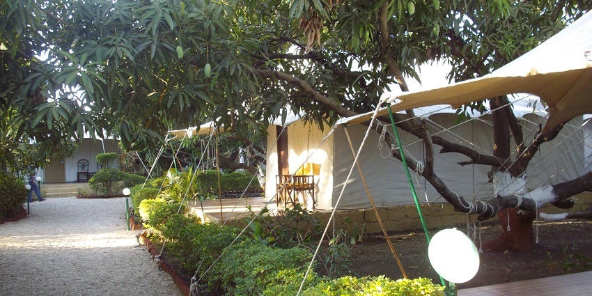 Kanota Camp Resort is one of the best camps in Jaipur offers luxury tents, camel safaris, and family activities.