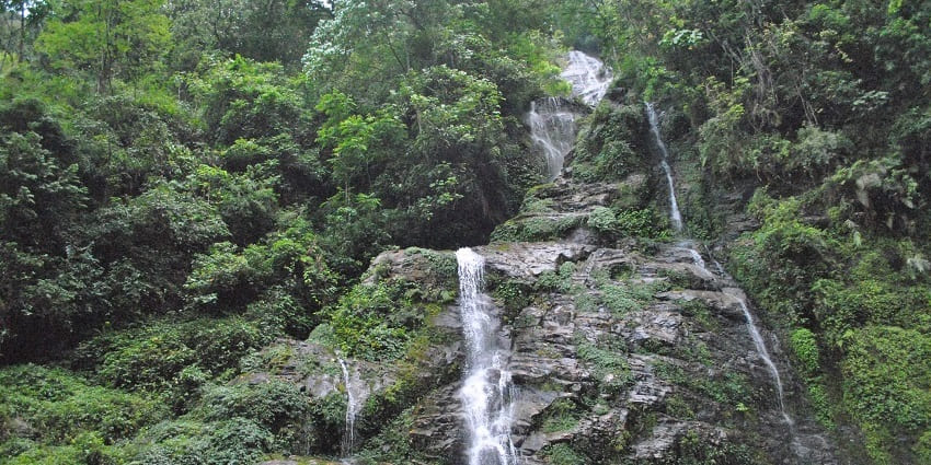 Snapshot of the beautiful Khangchendzonga Falls descending in the lush green jungle