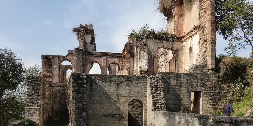A picture of a palace ruins with its tall walls visible, surrounded by wild plants