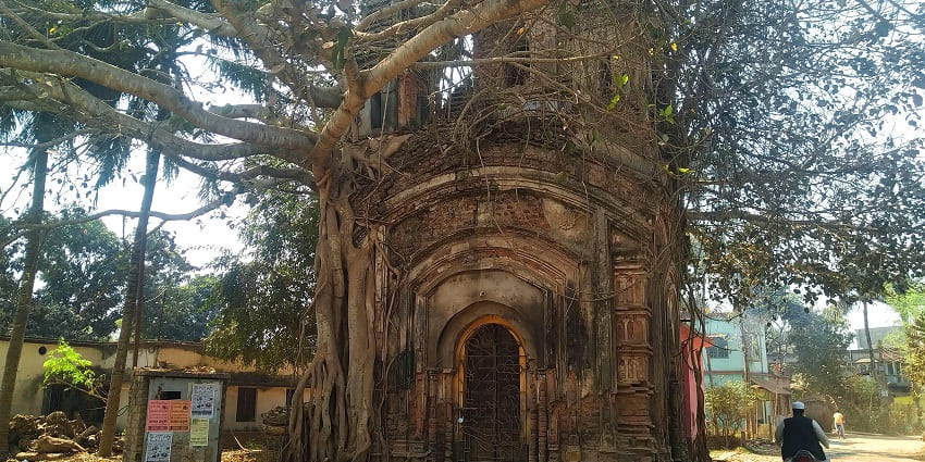 A glimpse of a house surrounded by a giant banyan tree with hanging branches, a hotspot.