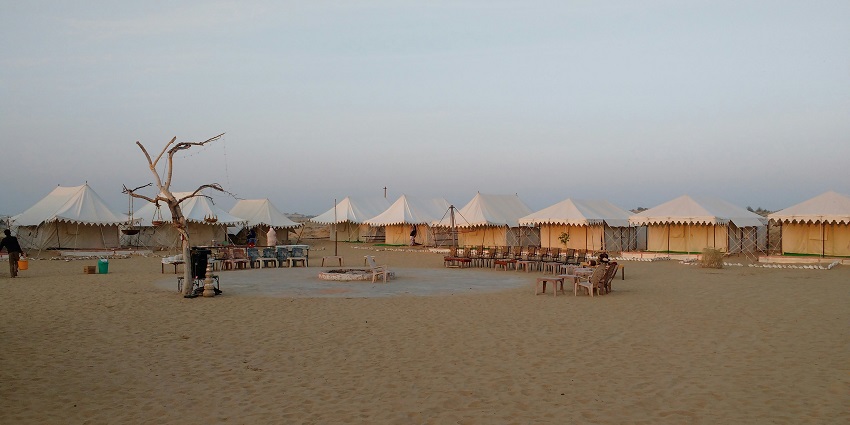 Paragliding over the Thar Desert reveals golden dunes and offers serene freedom.