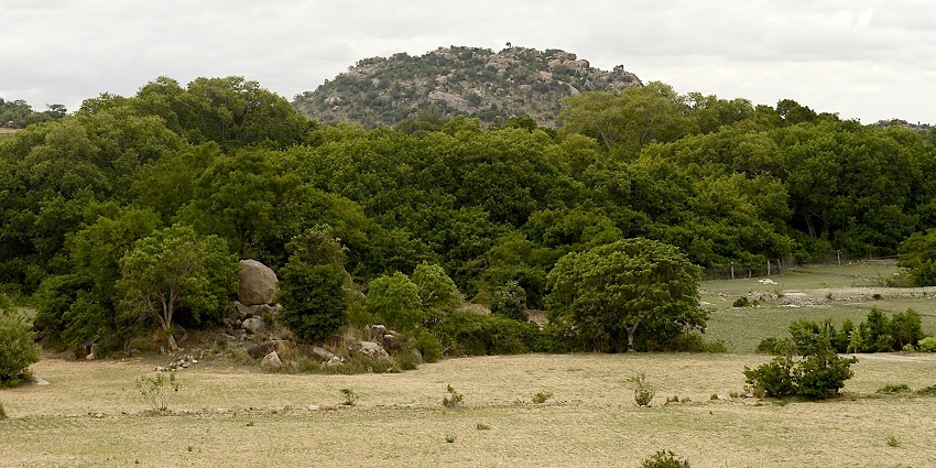 Thimmamma Marrimanu is the world's largest tree canopy with a temple below, among the famous Ananthpuram temples.