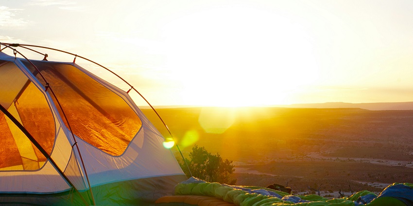 A glimpse of a camp being set up on the ground surrounded by natural vegetation.