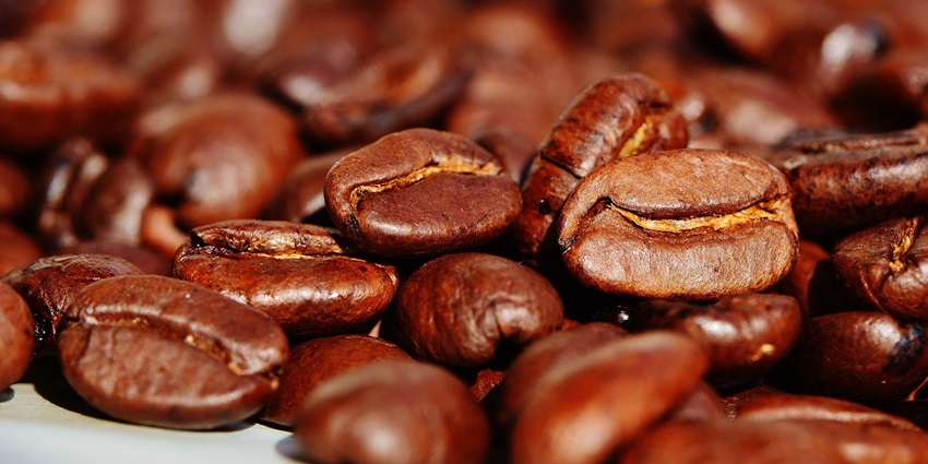There are multiple things to do at the museum for all the coffee enthusiasts out there.