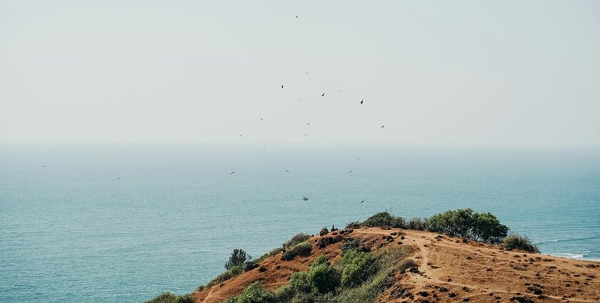 Sit back and relax on the serene Beach which is one of the things to do in Benaulim.