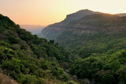 A scenery view of Pawna Lake in Lonavala showcasing lush greenery and serene waters.