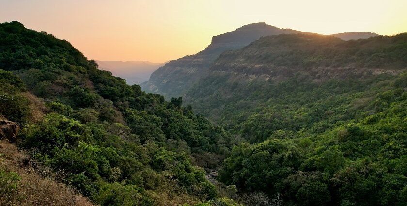 A scenery view of Pawna Lake in Lonavala showcasing lush greenery and serene waters.