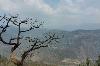 An image of Morni hills and valleys stretching into the horizon, a famous spot in Haryana.