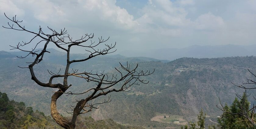 An image of Morni hills and valleys stretching into the horizon, a famous spot in Haryana.