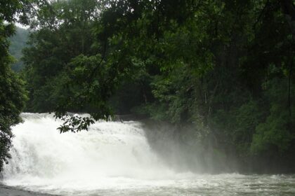 Grab a chance to savour natural beauty by climbing some seven steps to the attraction.