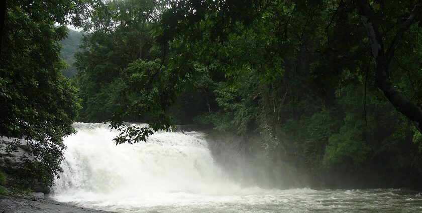 Grab a chance to savour natural beauty by climbing some seven steps to the attraction.