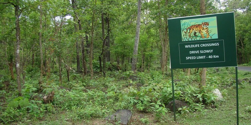 Wildlife crossing board with speed limit near Tikarpada wildlife sanctuary and forest.