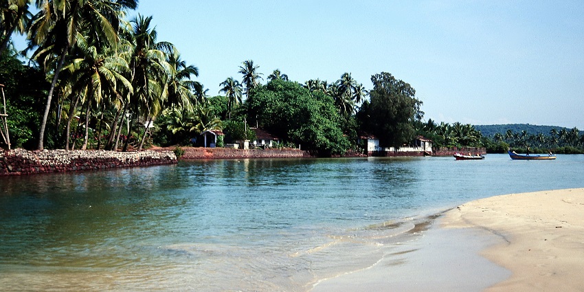 A serene view of the Baga River in Goa, surrounded by lush greenery and blue skies.