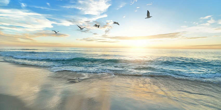 Witness the lush green landscapes of Tiracol Beach on your visit to North Goa, India.