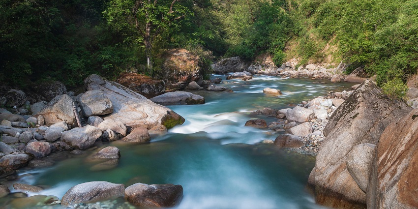 Image of river in the middle of the forest running through rocks and greenery around