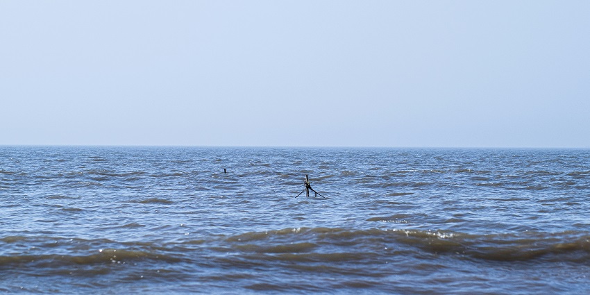 Tithal Beach is one of the most amazing tourist destinations for every traveller to visit.