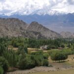 Trees, clouds, mountains and scenic views accompany travellers in Leh.