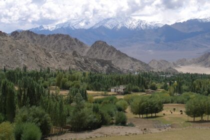 Trees, clouds, mountains and scenic views accompany travellers in Leh.