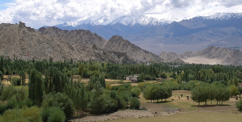 Trees, clouds, mountains and scenic views accompany travellers in Leh.