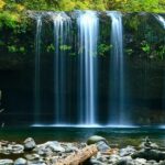 A breathtaking view of a waterfall in Arunachal Pradesh surrounded by lush greenery.