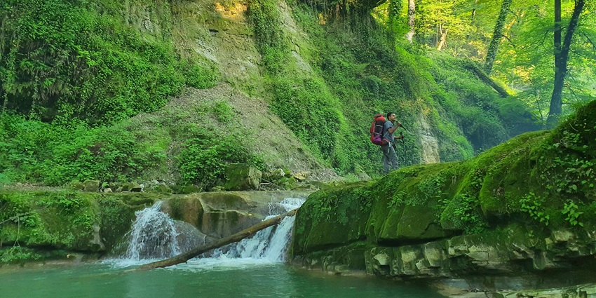 Parsa National Park allows tourists to witness the wildlife and enjoy in the laps of nature.