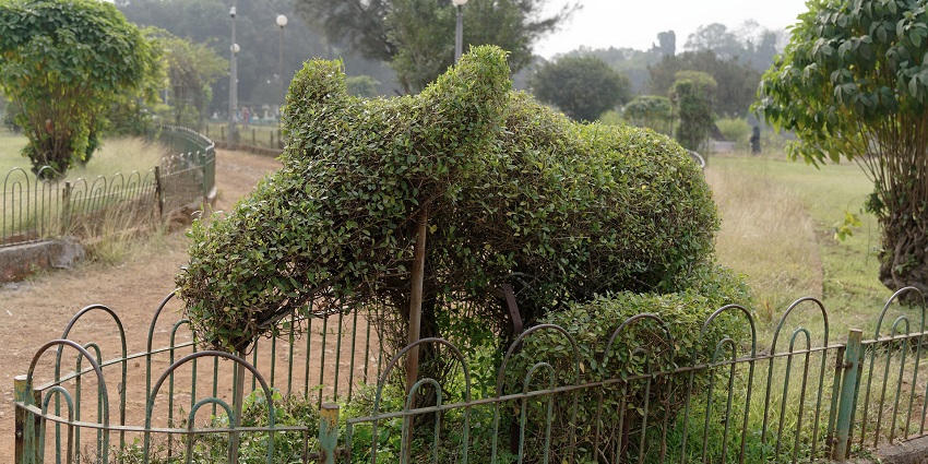 A picture of a park with lush greenery all around