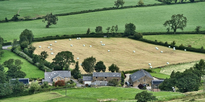 ibrant farming landscape showcasing local agriculture; a scenic rural setting.