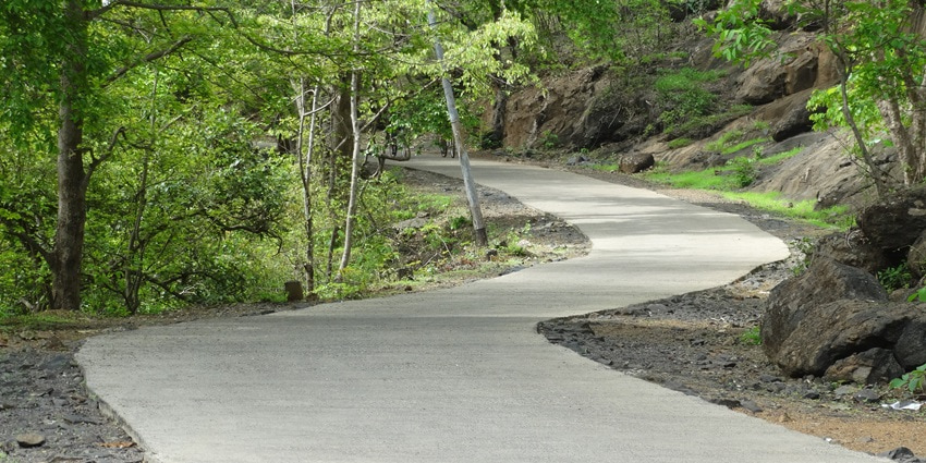 Scenic pathway in Sanjay Gandhi National Park—best things to do in Mumbai for youngsters.