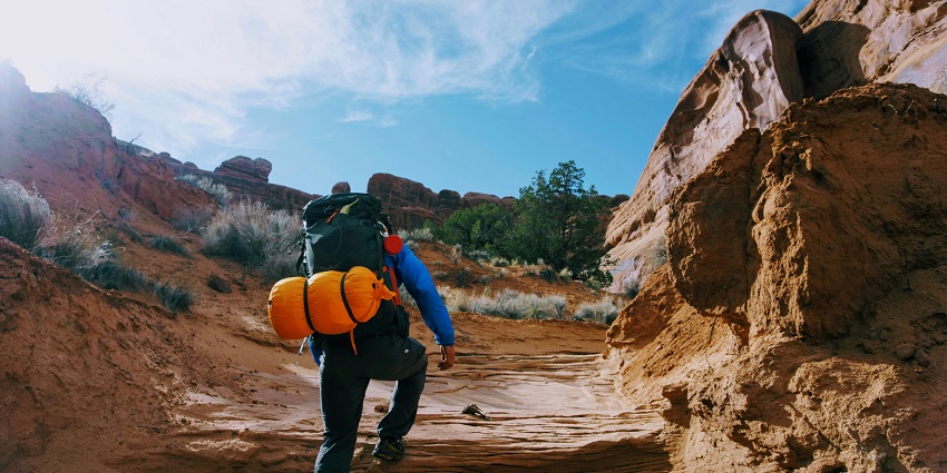 Go trekking at Udaan Dongor along the winding trails and wilderness to spot wildllife
