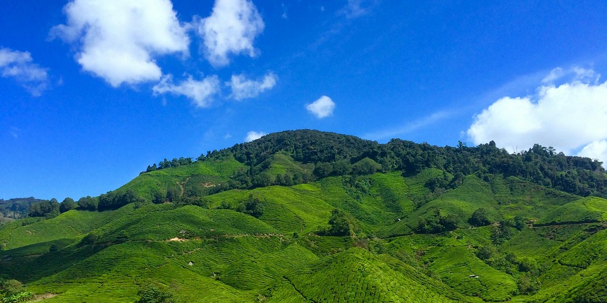 Trekking through the Maikal Hill is one of the most thrilling things to do in Amarkantak.