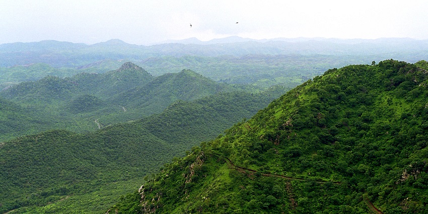 The image shows the lush Aravalli Hills, where trekking is an exciting thing to do in Ranakpur.